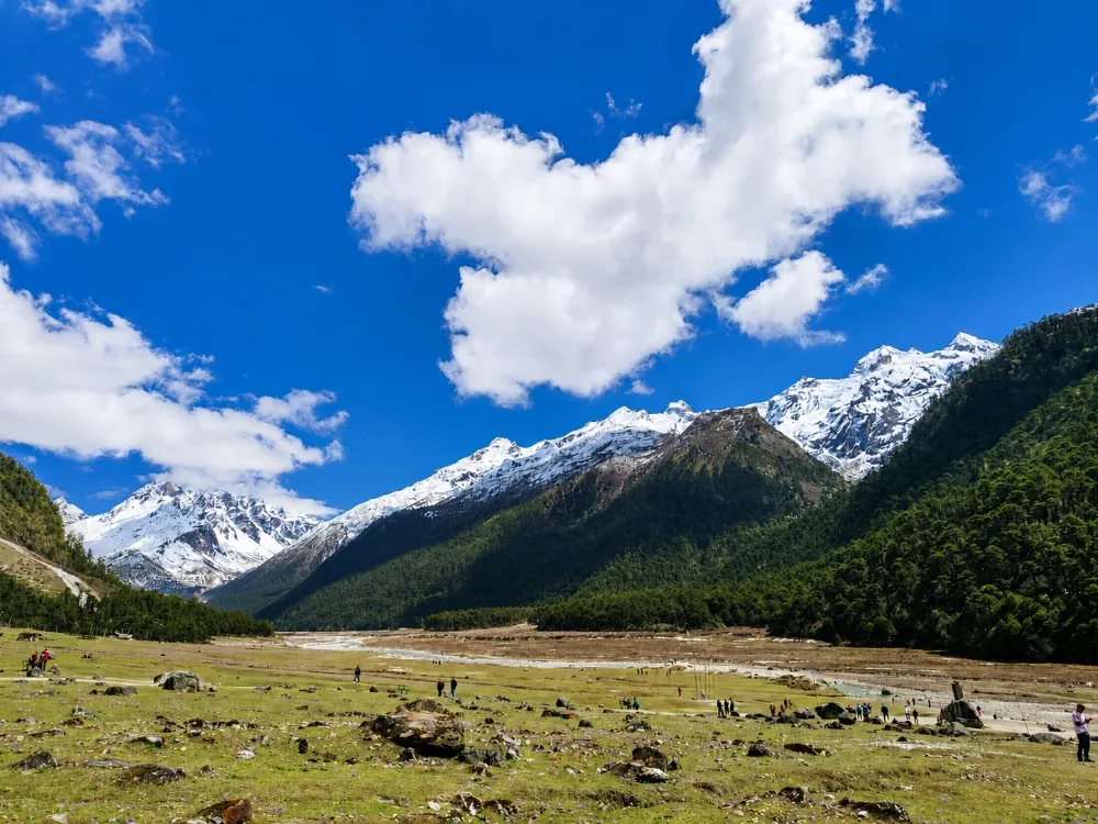 (4D3N) Gurudongmar Lake + Yumthang Valley photo 3
