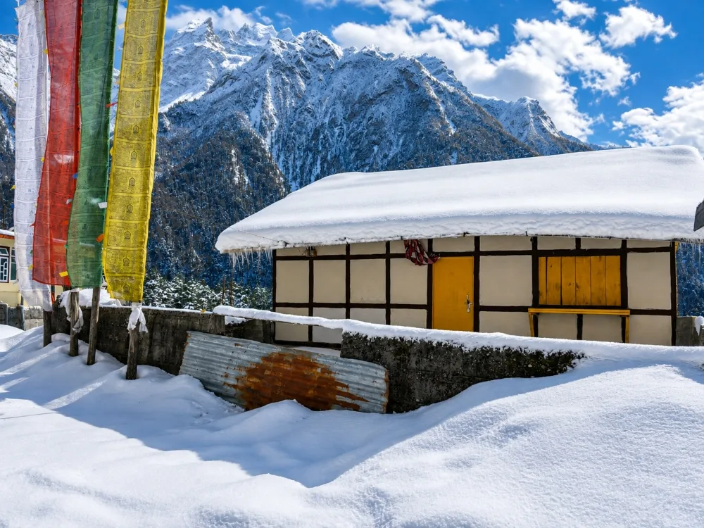 (3D2N) Lachung + Yumthang photo 3